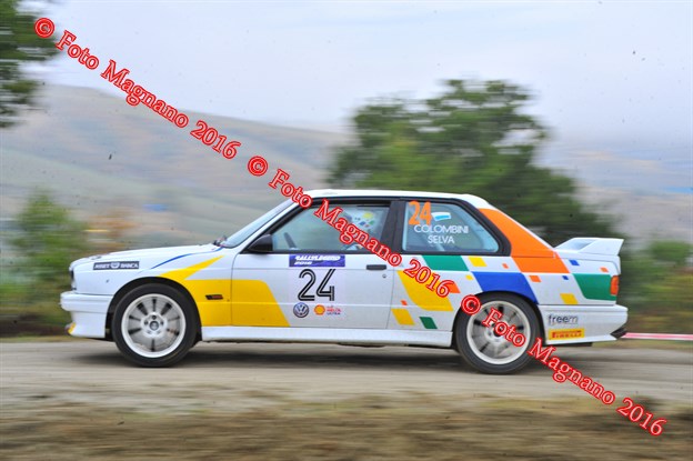 DSC_8565.JPG